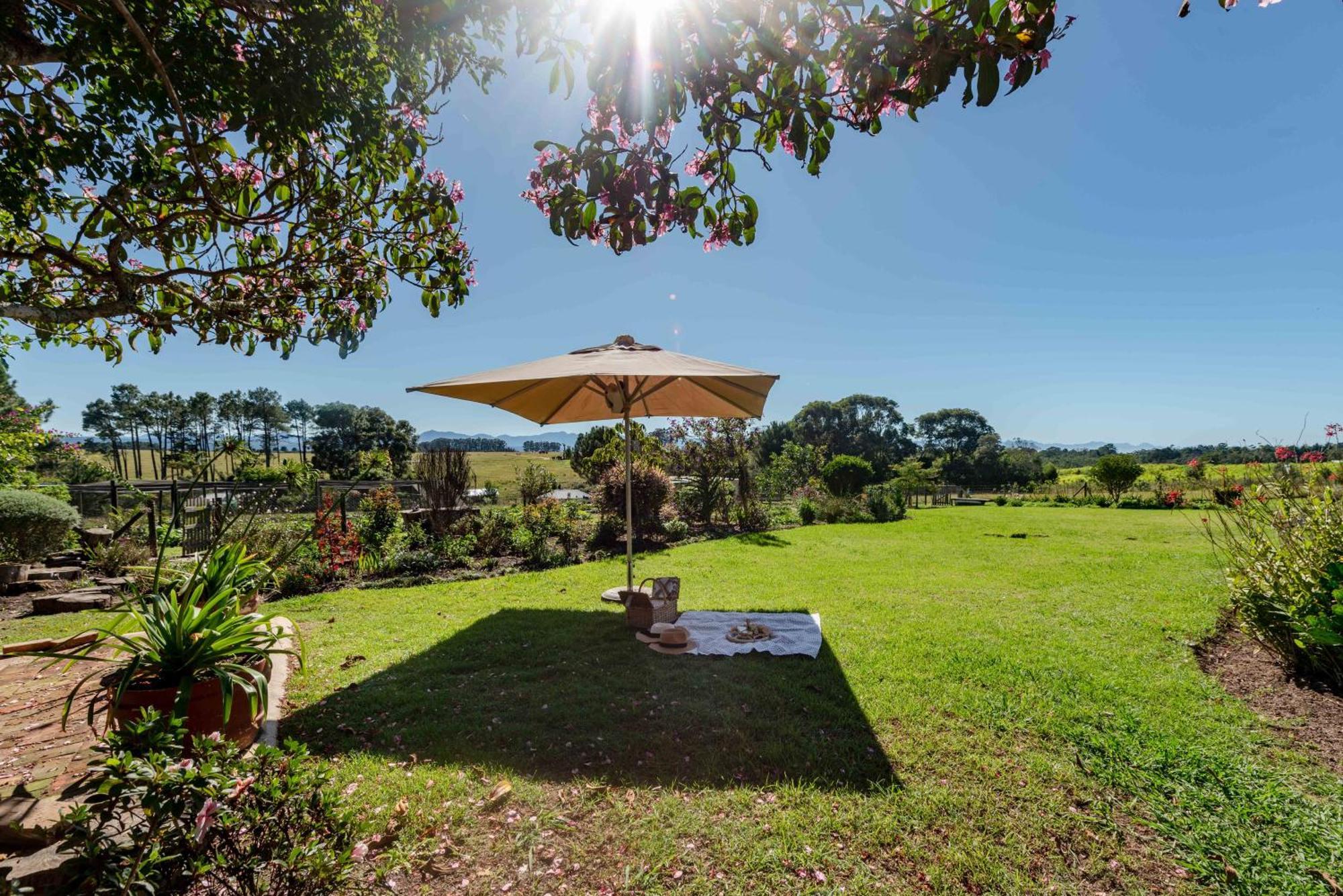 Elephant View Homestead Plettenberg Bay Eksteriør bilde