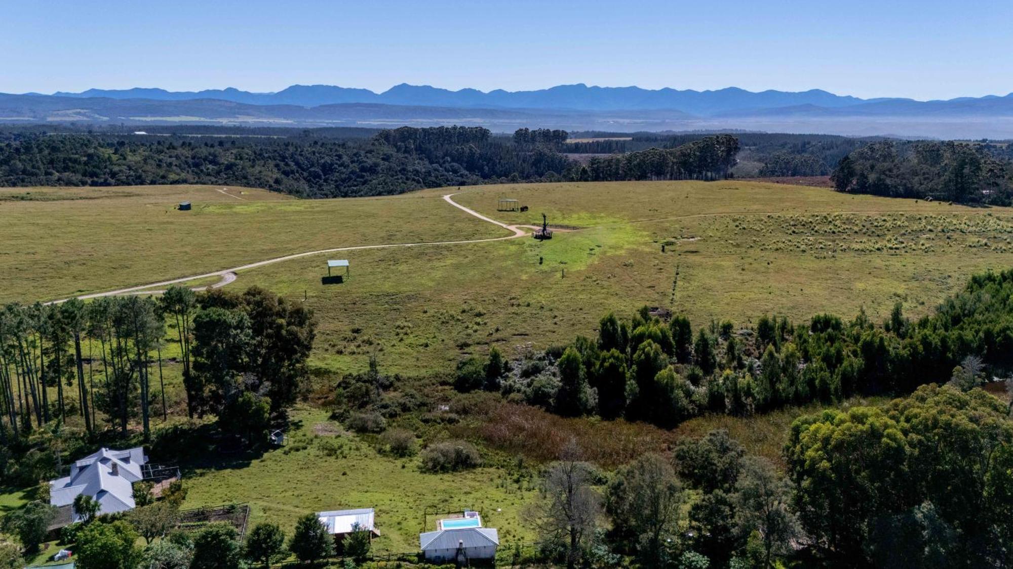 Elephant View Homestead Plettenberg Bay Eksteriør bilde